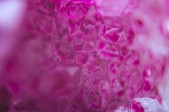 'Crystal cave.' Close-up photography of a pink crystal gemstone. Photography by Rose-Sky Journey Pieces. 2017.